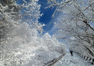눈 오는 크리스마스이브…낮 최고기온은 7도(오늘 날씨)