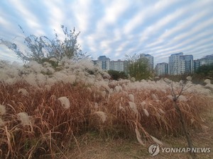 새해 첫 아침 맑다가 오후 흐려져…내륙 약한 눈·비(오늘 날씨)