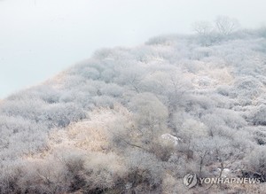 내륙 곳곳 아침 기온 영하 10도 이하…낮에도 -1∼6도 그쳐(오늘 날씨)