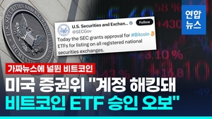 [영상] "미 증권위 해킹"…비트코인 ETF 승인 &apos;가짜뉴스&apos;에 시장 혼란