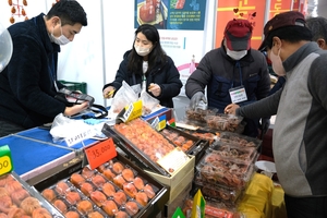 달고 쫀득한 곶감이 제철…19일부터 사흘간 영동서 축제