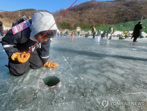 화천산천어축제 &apos;절정&apos;…낮엔 얼음벌판·밤엔 선등거리 &apos;북적&apos;