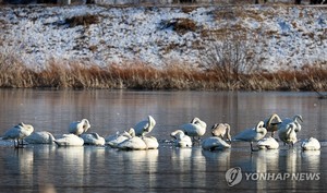 한파, 금요일 아침까지…낮부터 평년기온 회복(내일 날씨 예보)