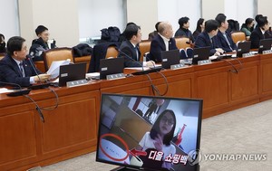 민주당 "유명 외신들 &apos;김건희 명품백&apos; 보도…국격 끝없이 추락"