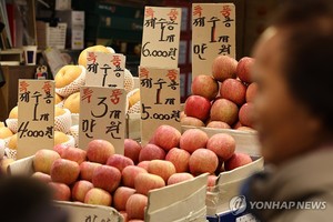 "차례상 양 줄이고 수입산"…급등 설 물가에 소비자 &apos;고육지책&apos;