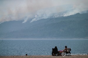 &apos;유네스코 유산&apos; 아르헨 공원 산불…수령 수천 년 나무 위협