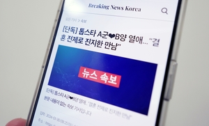 광화문서 대형 폭발?…"가짜뉴스 만들어드립니다" 사이트 성행