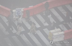 목요일 아침 내륙 중심 안개 짙어…중서부 미세먼지 &apos;나쁨&apos;(내일 날씨 예보)