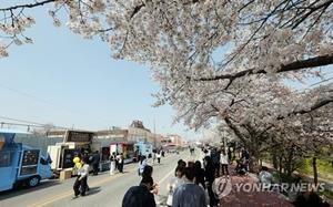 "벚꽃과 함께 즐기세요" 내달 22∼24일 청주서 푸드트럭 축제