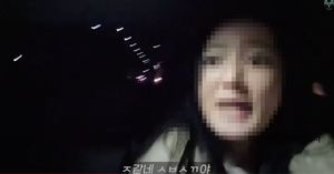택시 기사에 갑질한 女유튜버 누구?…&apos;무명 배우&apos; 출신
