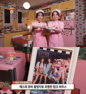 ‘생방송오늘저녁’ 경기 광주 ‘에스파 MV 촬영지’ 카페 위치는? 안주영·안주희 자매의 핑크하우스