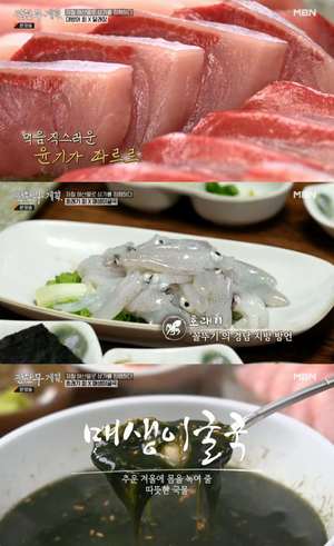 ‘전현무계획’ 서울 도화동 대방어회·호래기회 맛집 위치는? “식객 허영만의 백반기행 그 곳”