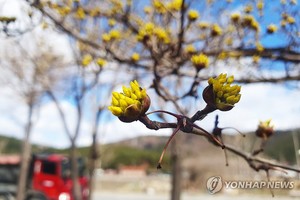 화요일 아침 -4~4도 대부분 지역 &apos;영하&apos;…낮엔 3~12도(내일 날씨 예보)