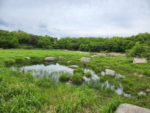 신불산 고산습지 명칭 &apos;양산 능걸산 산지습지&apos;로 변경