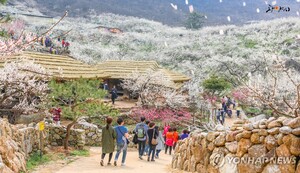 &apos;봄의 서막&apos; 광양 매화축제 3월 7일 개막