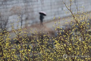 금요일 아침 서울·대전 영하 1도…강풍에 &apos;쌀쌀&apos;(내일 날씨 예보)