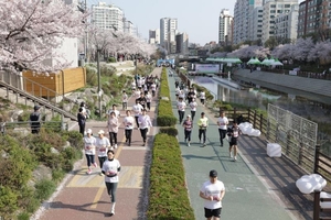 봄날 꽃길 달린다…은평구, 31일 불광천 벚꽃 마라톤대회