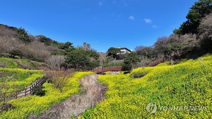 전국 맑다 밤부터 구름 많아져…낮부터 기온 올라(오늘 날씨 예보)