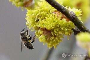 내륙 중심으로 아침 영하권…일교차 유의(오늘 날씨 예보)