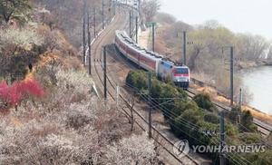 KTX 타고 미나리·매화·벚꽃 즐겨요…양산시 &apos;봄 시티투어&apos;