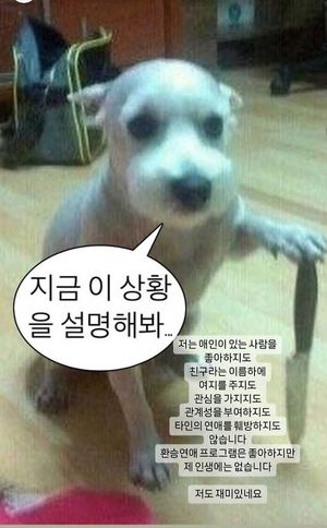 칼든 개사진…한소희, 류준열과 환승연애설 발끈(종합)