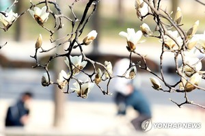 오후부터 흐려지고 제주 등에 비 조금…서쪽에 짙은 아침안개(주말 날씨 예보)