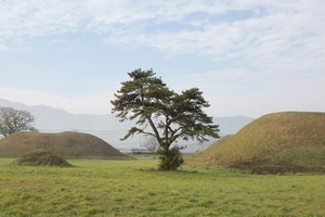 박혁거세 전설 전하는 경주 금척리 일대 신라무덤, 5월부터 조사