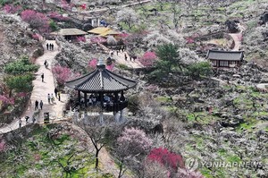 광양매화축제 관람객 85만명…"머물고 즐기는 경쟁력 갖춰"