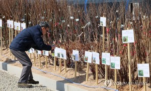 &apos;춘분&apos; 하루 앞둔 화요일 전국에 봄비…강원산지에 많은 눈(내일 날씨 예보)