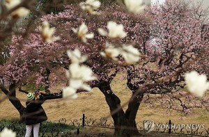 쌀쌀한 &apos;춘분&apos;…강원·경북 북부 등에서 눈 또는 비(오늘 날씨 예보)