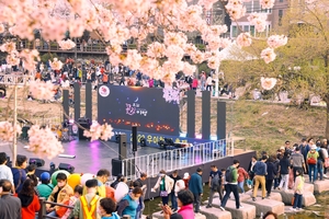 돌아온 벚꽃 시즌…27∼31일 &apos;도봉 벚꽃축제&apos;