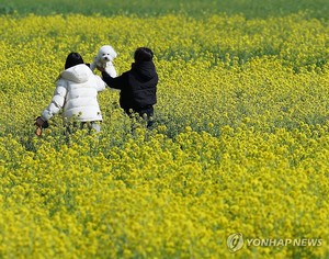 목요일 맑고 쌀쌀, 아침 -4~2도…서울·영남 등에 건조주의보 &apos;불조심&apos;(내일 날씨 예보)