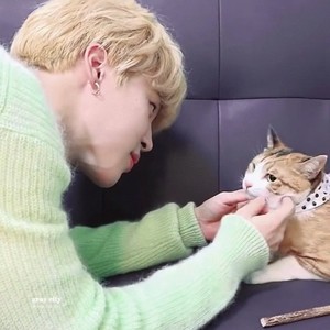 [BTS News] “마음이 몽글몽글”…방탄소년단 지민과 고양이의 힐링 영상 ‘팬들의 뜨거운 호응’