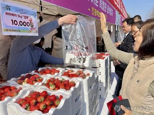 딸기먹고 헬기·과학체험까지…논산딸기축제 첫날 4만2천명 방문