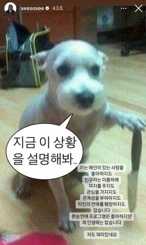 한소희가 올린 &apos;칼 든 강아지&apos; 정체…"당뇨 합병증으로 실명"