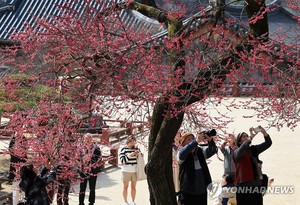 중부 한낮 20도 이상 &apos;포근&apos;…남해안·제주도 비(오늘 날씨 예보)