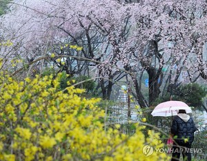 오전까지 전국에 눈 또는 비…강원 산지는 많은 눈(오늘 날씨 예보)