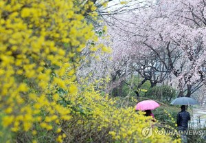 전국 흐리고 비…낮 최고기온 10∼21도(오늘 날씨 예보)