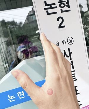 "무슨 옷 입어야 욕 안 먹나"…김규리, 투표 인증샷 허위사실 법적대응