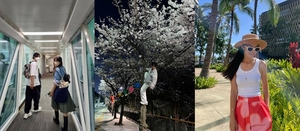 고소영-김성은-최성준, 광복절 일본 여행 인증부터 벚나무 올라탄 사진까지…&apos;SNS는 독일까 약일까&apos; [TOP초점]