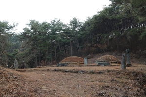 고려에 충절 &apos;함안 이오 부부 묘역&apos; 경남도 기념물 지정 예고