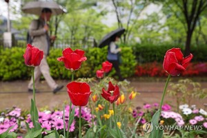 토요일 황사 씻어주고 더위 해소하는 비…대기질 &apos;보통&apos; 회복(내일 날씨 예보)