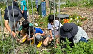 [작은 학교를 가다] ② "영화로 세상 보기"…곡성 삼기초