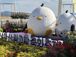 마산가고파국화축제 폐막해도 만개 국화 내달 10일까지 자율관람