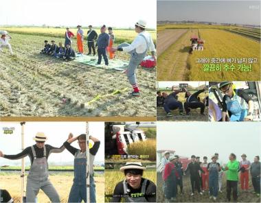 ‘인간의 조건-도시농부’ 이젠 쌀까지 ‘마법의 텃밭’ 다음은 뭘까…‘기대 만발’