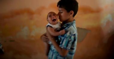 브라질, 소두증 의심 사례 4천 건 넘어… 이집트 숲 모기 ‘박멸 작전’