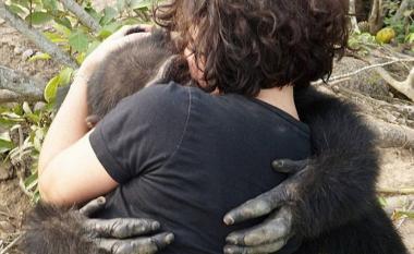 섬에 갇혔던 침팬지의 안타까운 사연