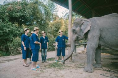 ‘내 친구의 집은 어디인가’, 태국 코끼리 보호센터 방문 ‘본방사수’