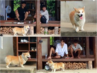 ‘삼시세끼’ 차승원-유해진-남주혁-손호준, 반려견 ‘겨울이’에게 ‘홀딱’