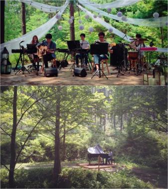 ‘어서옵SHOW’ 유희열, 숲속서 연주 ‘몽환적’ 스틸컷 선 공개